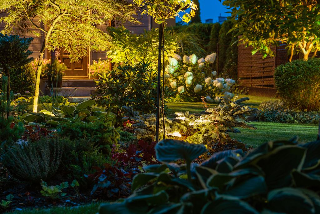Well lit garden in backyard of home. Outdoor lighting. 