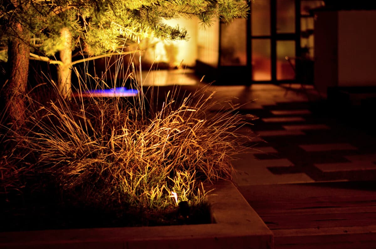 landscape lighting