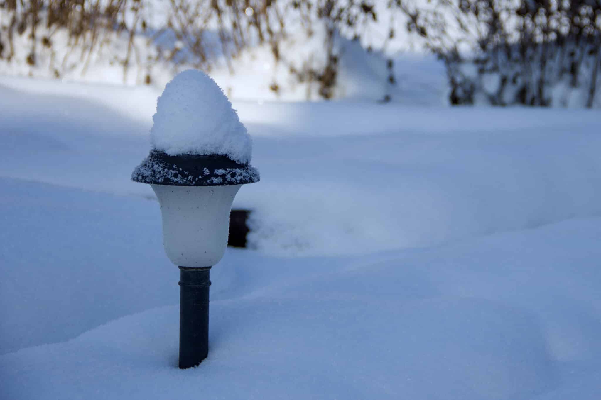 Outdoor lighting in the winter garden.