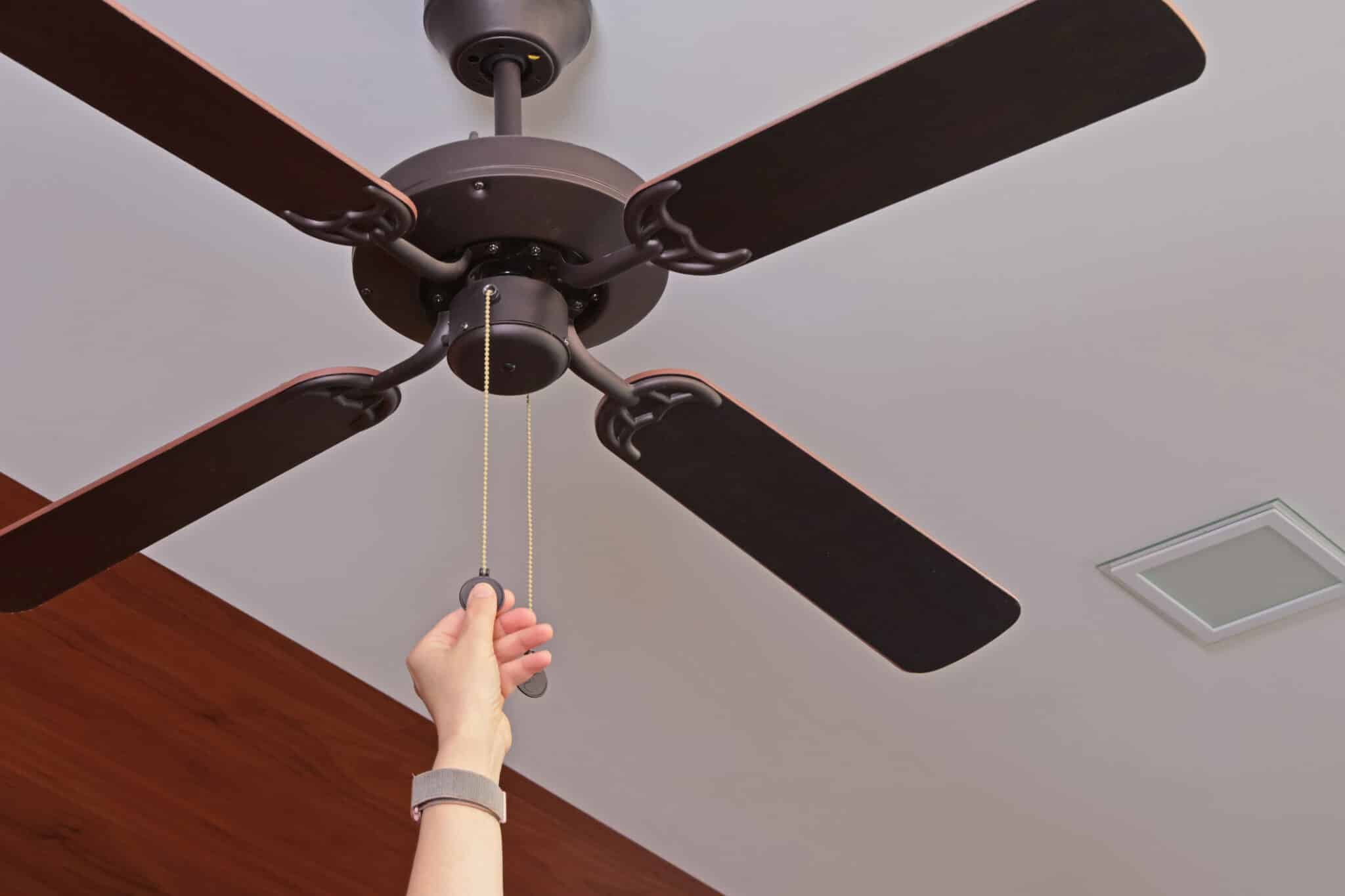 Ceiling Fans